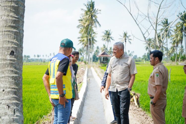 Optimalisasi Program Irigasi Perpompaan