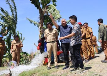 Pompanisasi di Desa Padakkalawa