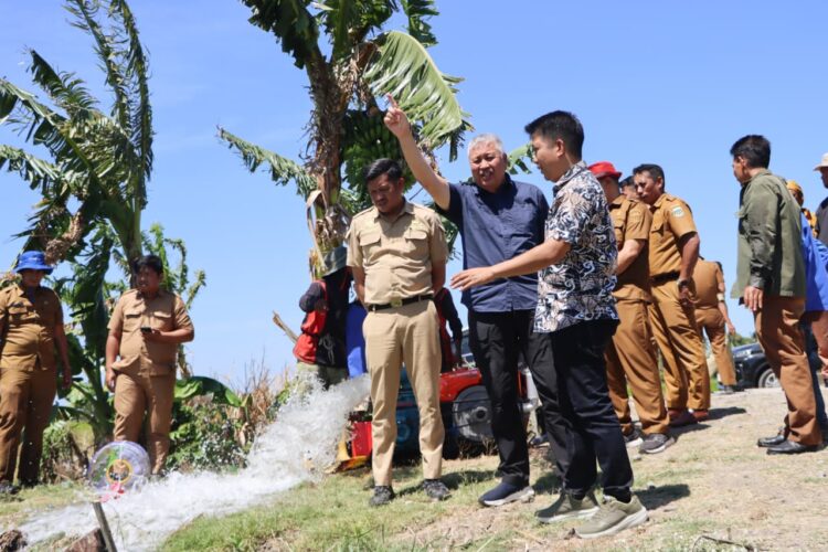 Pompanisasi di Desa Padakkalawa
