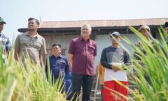 Menjaga Produktivitas Pertanian