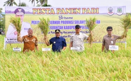 Panen di Pinrang, Bahtiar Optimis Sulsel Surplus Beras